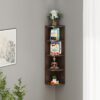 BLUEWUD Adora Engineered Wood Multi-Tier Corner Wall Decor Shelf, Display Rack (Wenge) - Bluewud