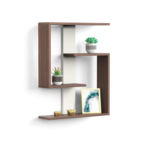 BLUEWUD Easton Engineered Wood Wall Shelf, Display Rack, 3 Shelves (Wenge & White)… - Bluewud
