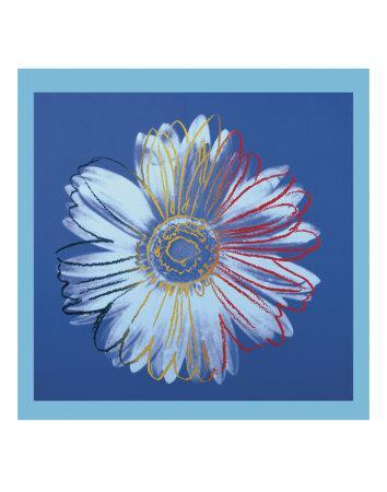 Daisy, c.1982 (blue on blue) - Wall Art Print, 11x14 Daisy, c.1982 (blue on blue) - Wall Art Print, 11x14