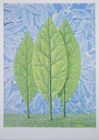 La belle saison - Wall Art Print, 20x28